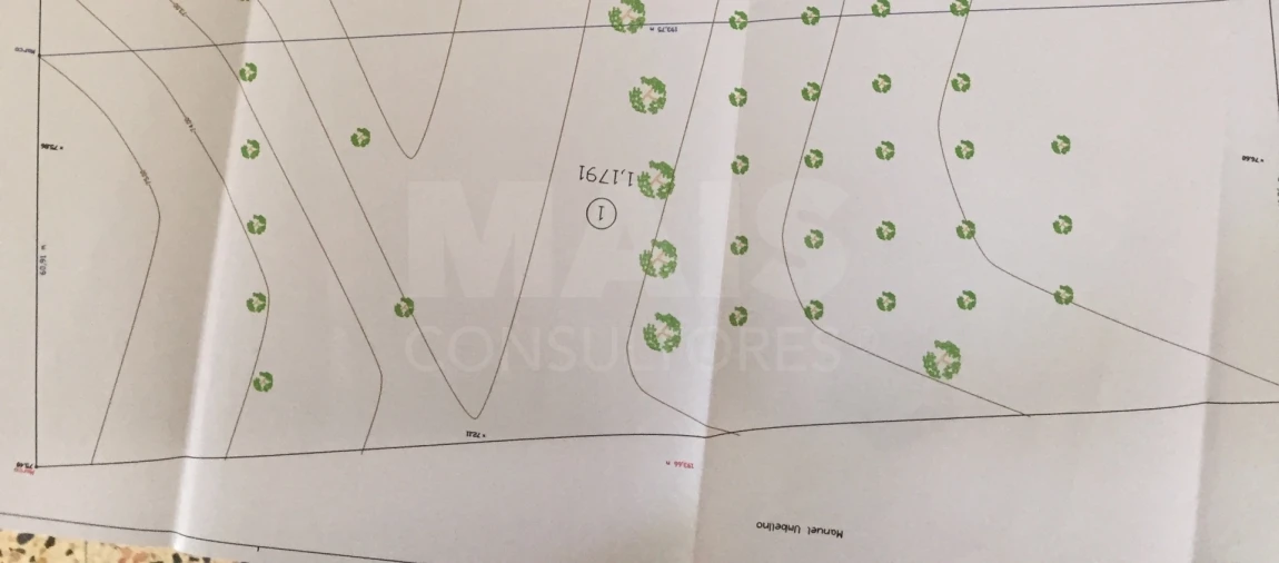 Terreno para Venda em Branca Foto 3