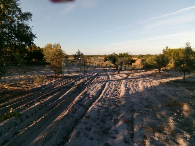 Terreno para Venda em Branca