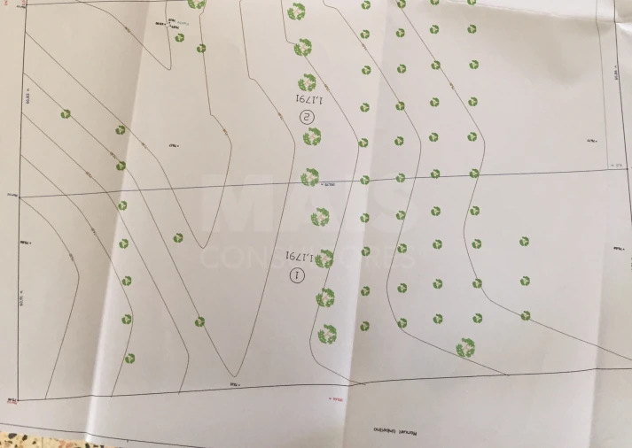 Terreno para Venda em Branca Foto 2