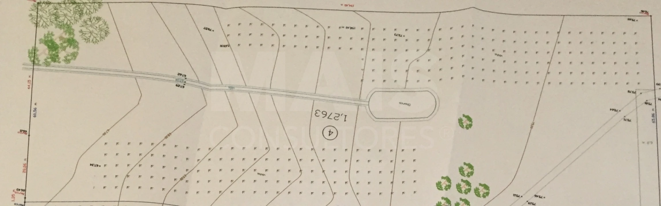 Terreno para Venda em Branca Foto 4