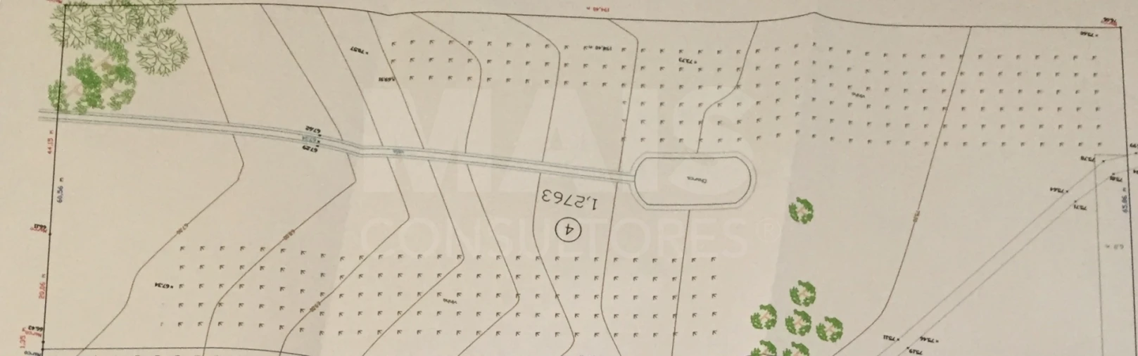 Terreno para Venda em Branca Foto 4