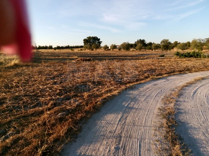 Terreno para Venda em Branca
