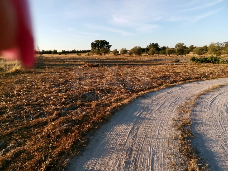 Terreno para Venda em Branca Foto 1