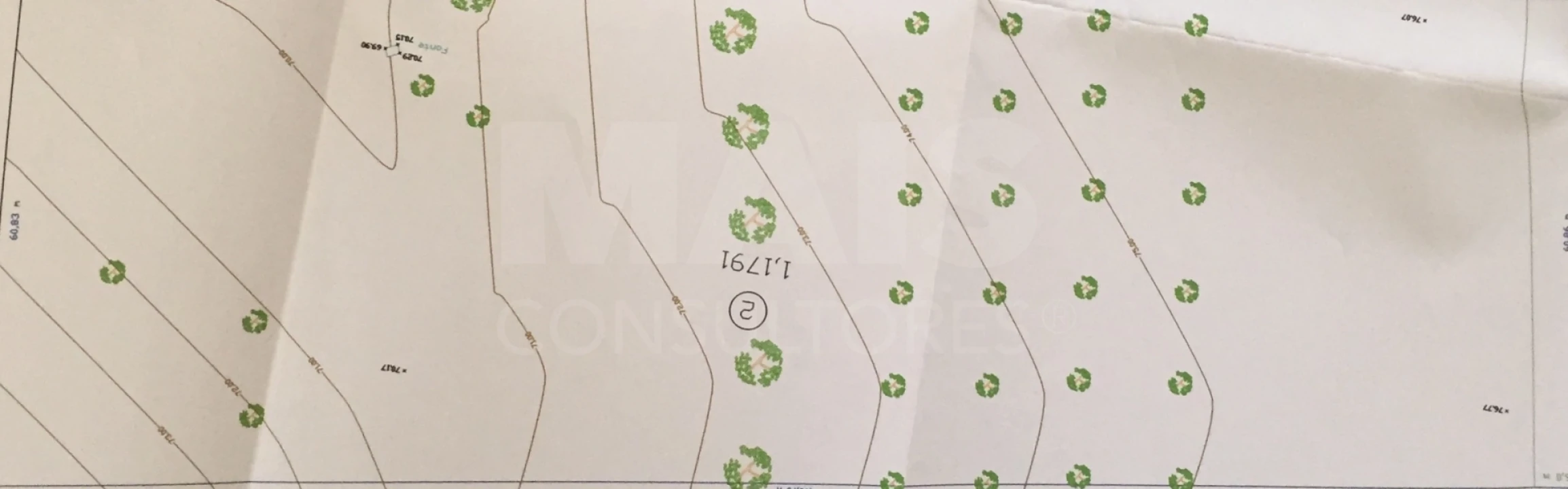 Terreno para Venda em Branca Foto 3