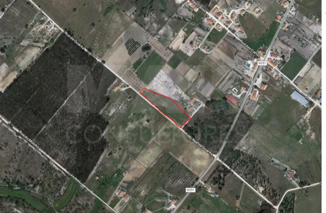 Terreno para Venda em Branca Foto 2