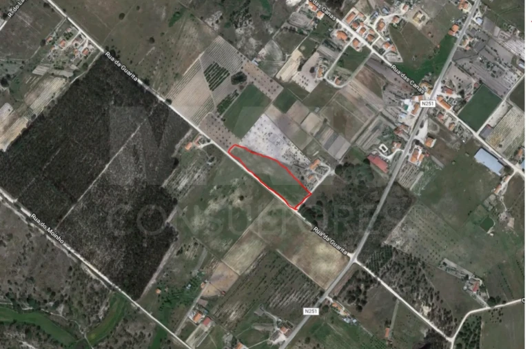 Terreno para Venda em Branca Foto 2