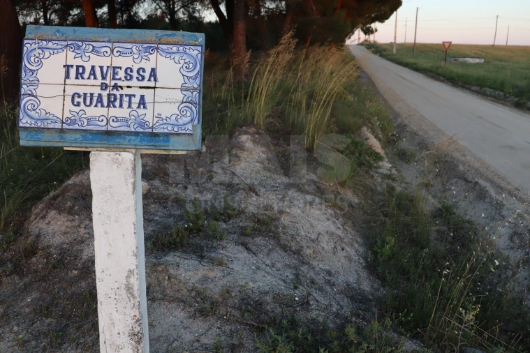 Terreno para Venda em Branca Foto 4