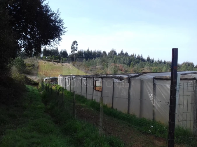 Terreno para Venda em Abrigada e Cabanas de Torres Foto 5