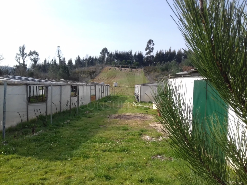 Terreno para Venda em Abrigada e Cabanas de Torres Foto 2