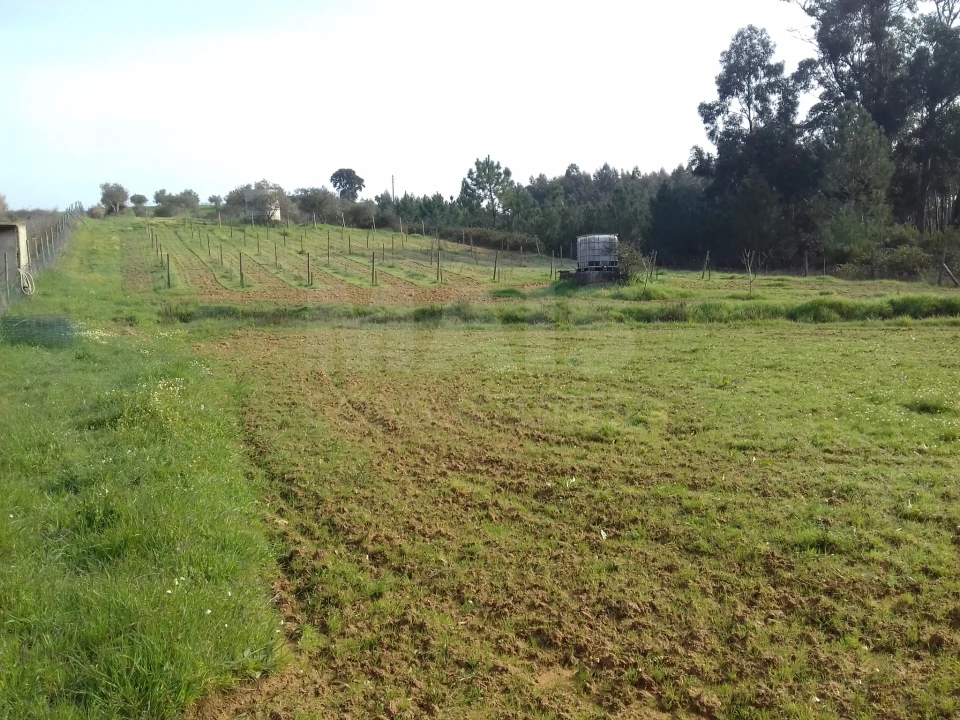 Terreno para Venda em Abrigada e Cabanas de Torres Foto 1