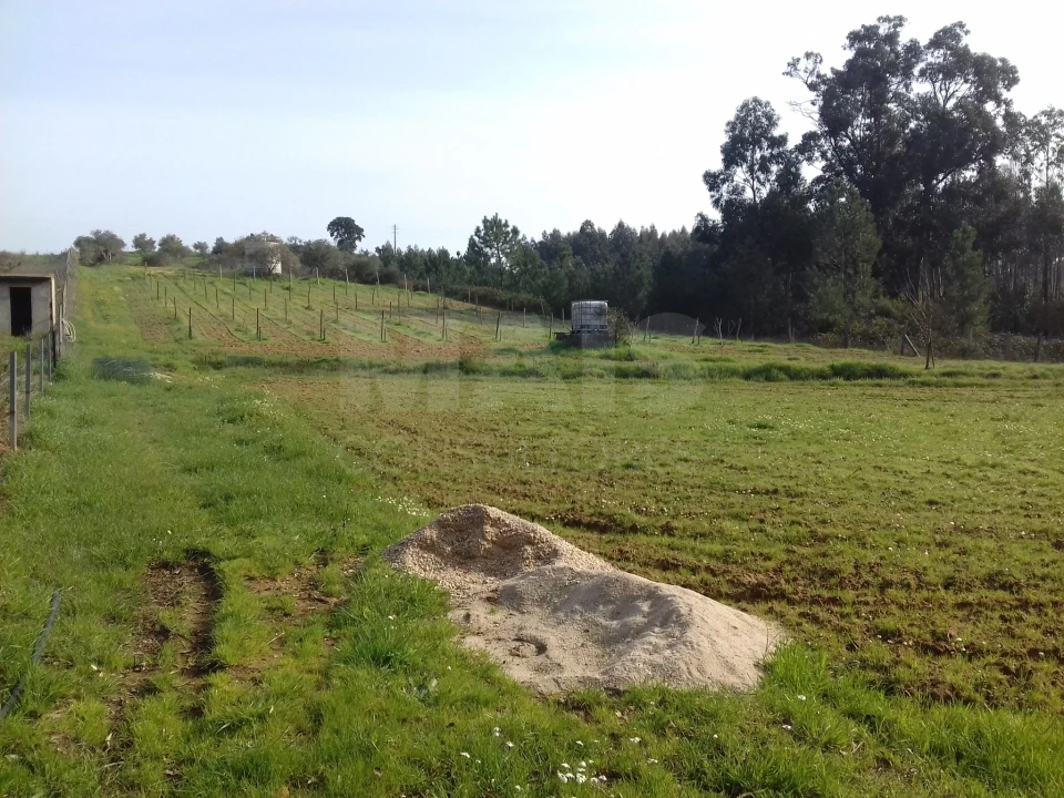 Terreno para Venda em Abrigada e Cabanas de Torres Foto 4