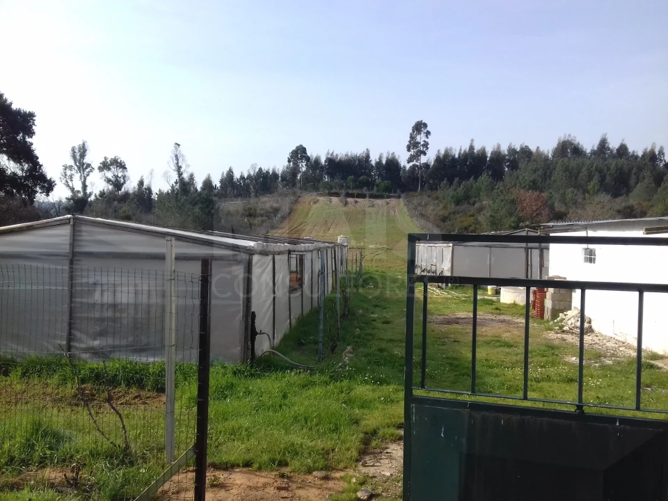 Terreno para Venda em Abrigada e Cabanas de Torres Foto 3