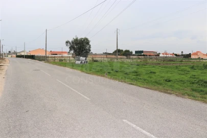 Terreno para Venda em Salvaterra de Magos e Foros de Salvaterra