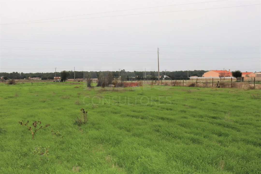 Terreno para Venda em Salvaterra de Magos e Foros de Salvaterra Foto 6
