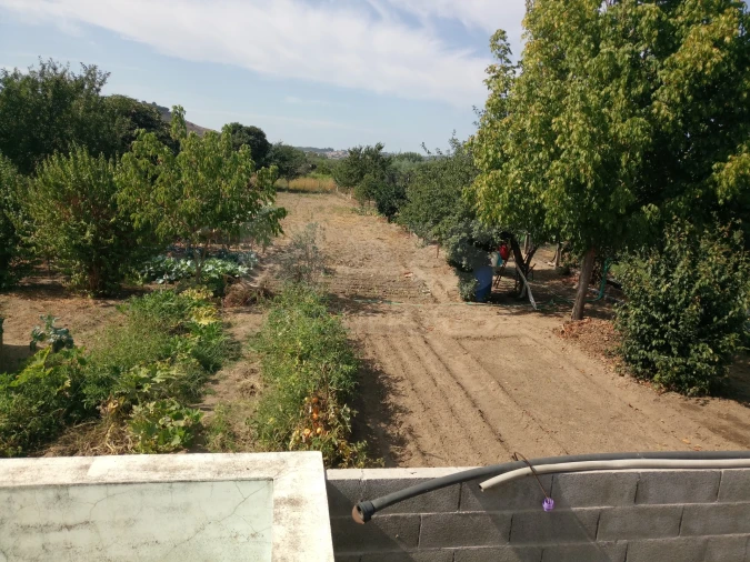 Terreno para Venda em Pego Foto 12