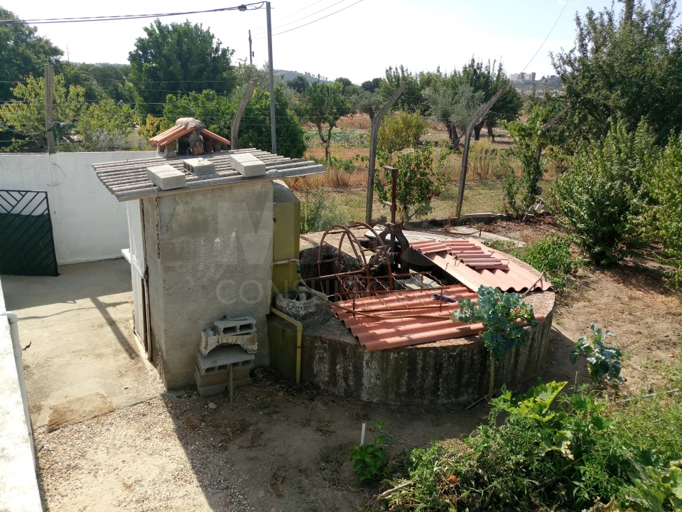 Terreno para Venda em Pego Foto 11