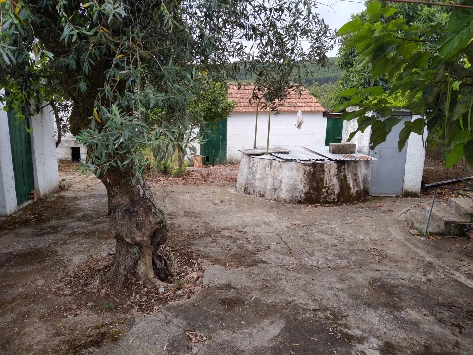 Moradia T4 para Venda em Beco Foto 2