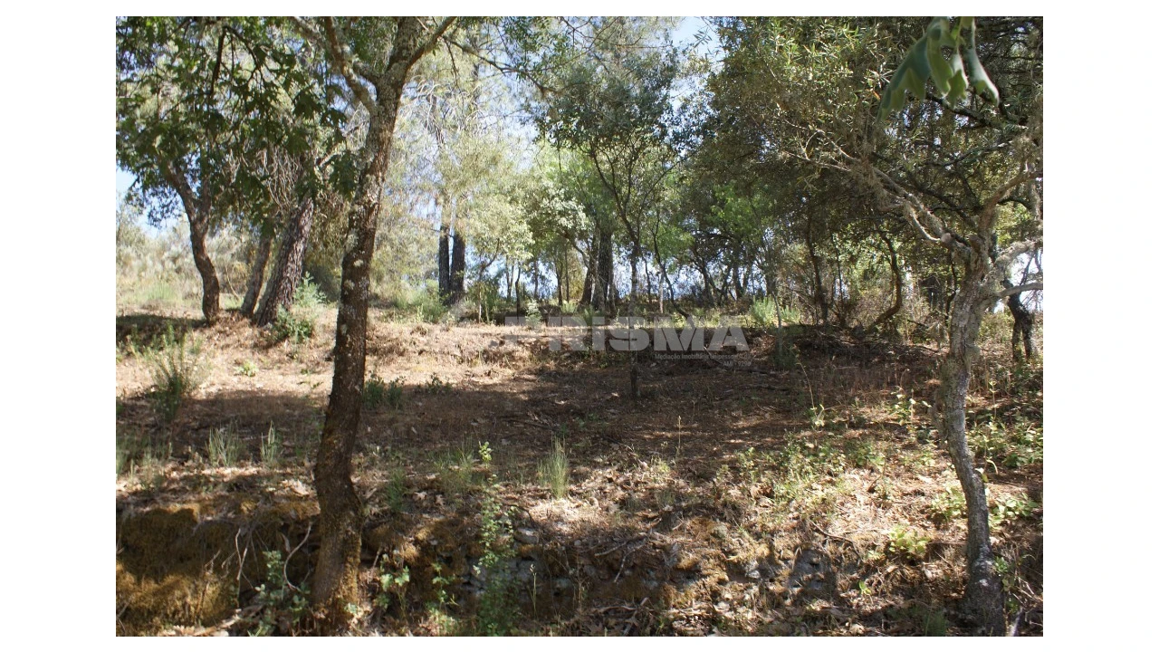 Terreno para Venda em Pedrógão de São Pedro e Bemposta Foto 17