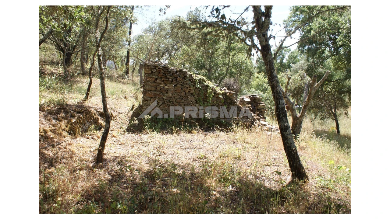 Terreno para Venda em Pedrógão de São Pedro e Bemposta Foto 22