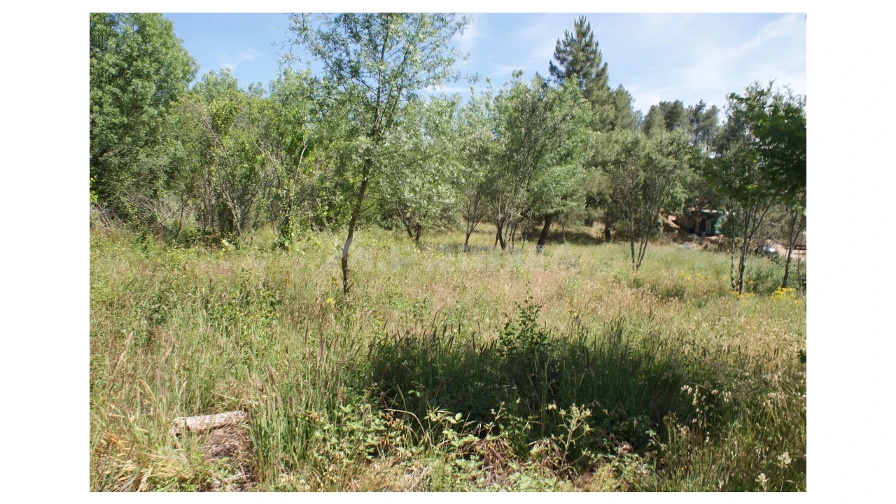 Terreno para Venda em Pedrógão de São Pedro e Bemposta Foto 11