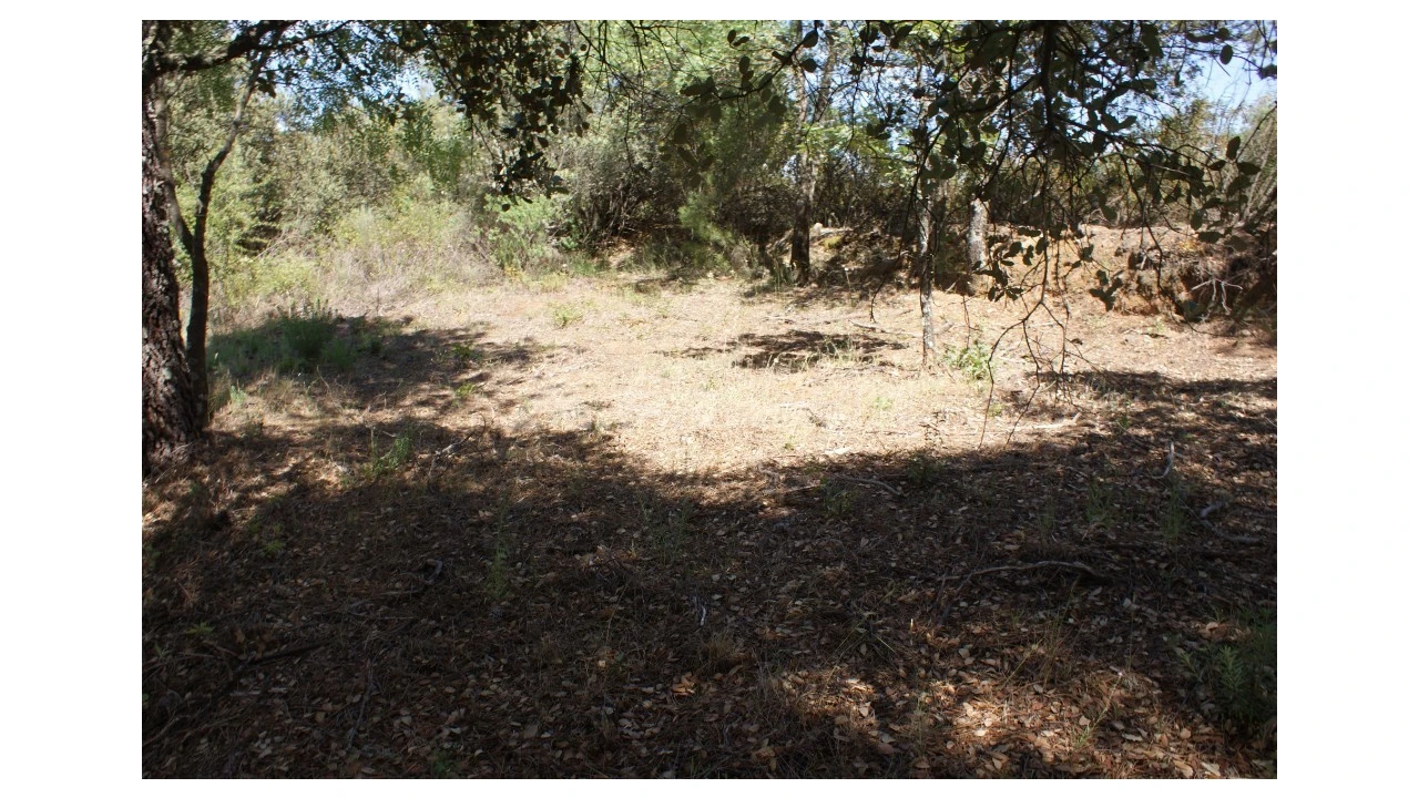 Terreno para Venda em Pedrógão de São Pedro e Bemposta Foto 20