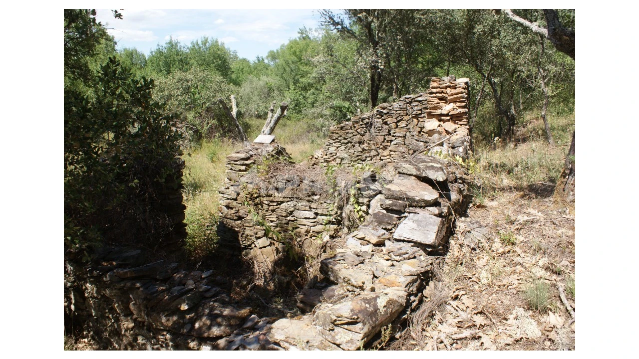 Terreno para Venda em Pedrógão de São Pedro e Bemposta Foto 15