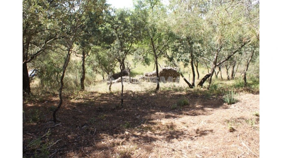 Terreno para Venda em Pedrógão de São Pedro e Bemposta Foto 19