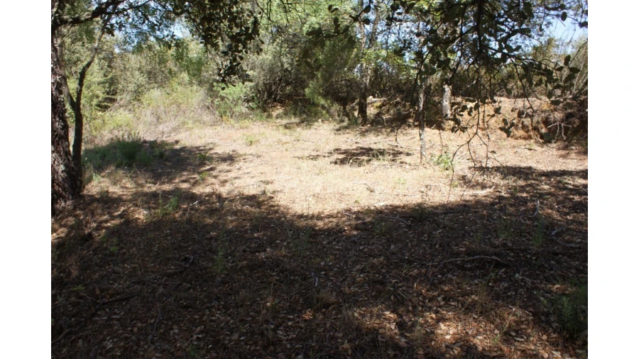 Terreno para Venda em Pedrógão de São Pedro e Bemposta Foto 20