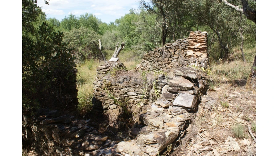 Terreno para Venda em Pedrógão de São Pedro e Bemposta Foto 15