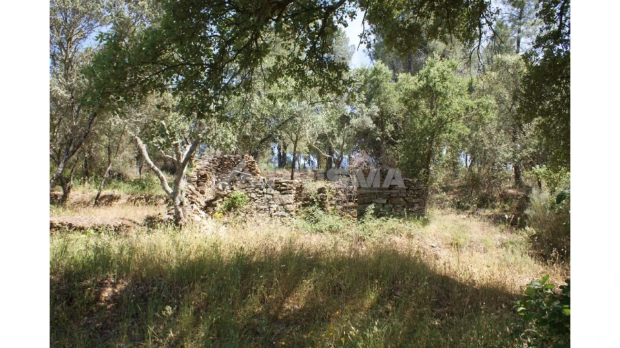 Terreno para Venda em Pedrógão de São Pedro e Bemposta Foto 3