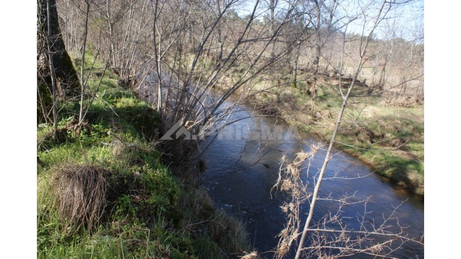 Terreno para Venda em Pedrógão de São Pedro e Bemposta Foto 25