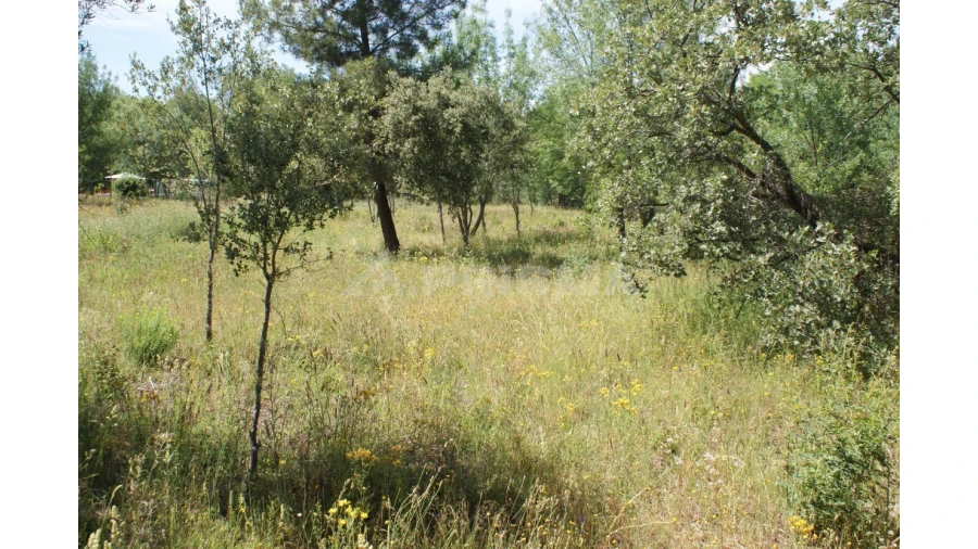 Terreno para Venda em Pedrógão de São Pedro e Bemposta Foto 23