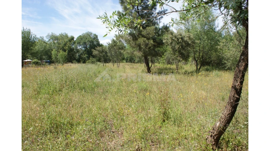 Terreno para Venda em Pedrógão de São Pedro e Bemposta Foto 4