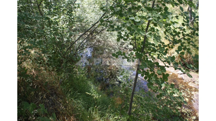 Terreno para Venda em Pedrógão de São Pedro e Bemposta Foto 13