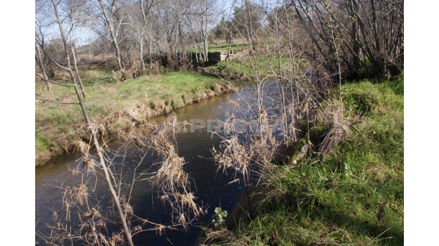 Terreno para Venda em Pedrógão de São Pedro e Bemposta Foto 1