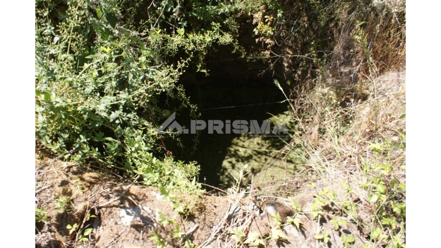 Terreno para Venda em Pedrógão de São Pedro e Bemposta Foto 8