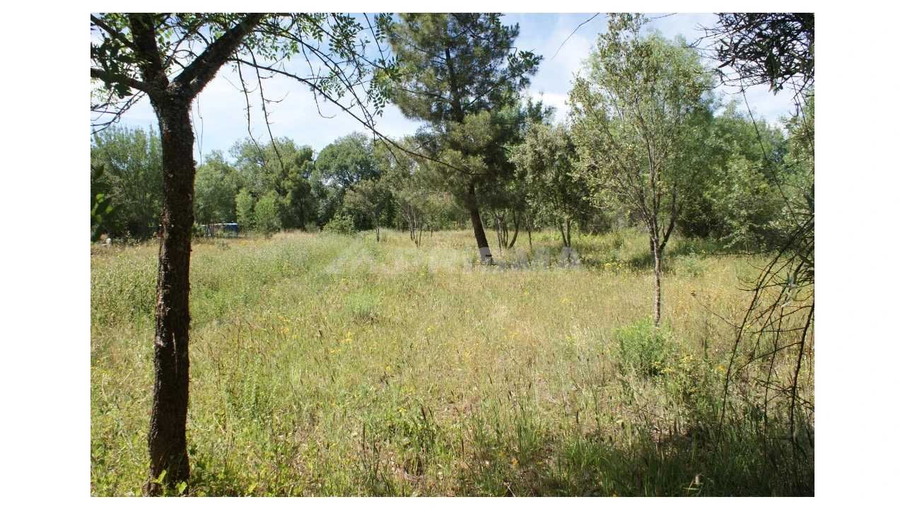 Terreno para Venda em Pedrógão de São Pedro e Bemposta Foto 24
