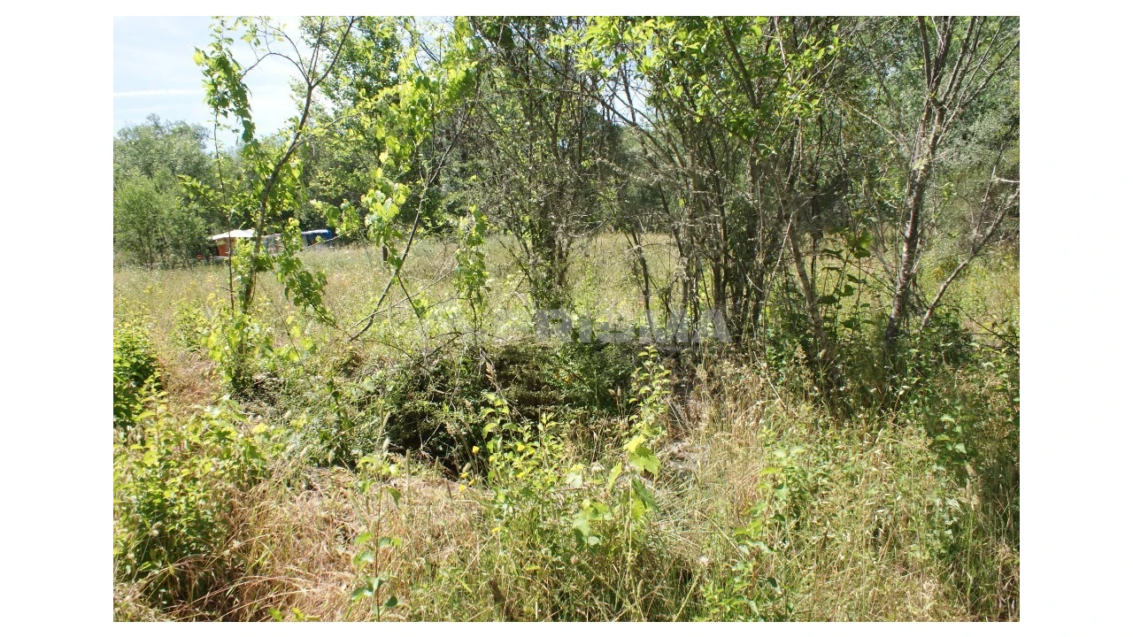 Terreno para Venda em Pedrógão de São Pedro e Bemposta Foto 9