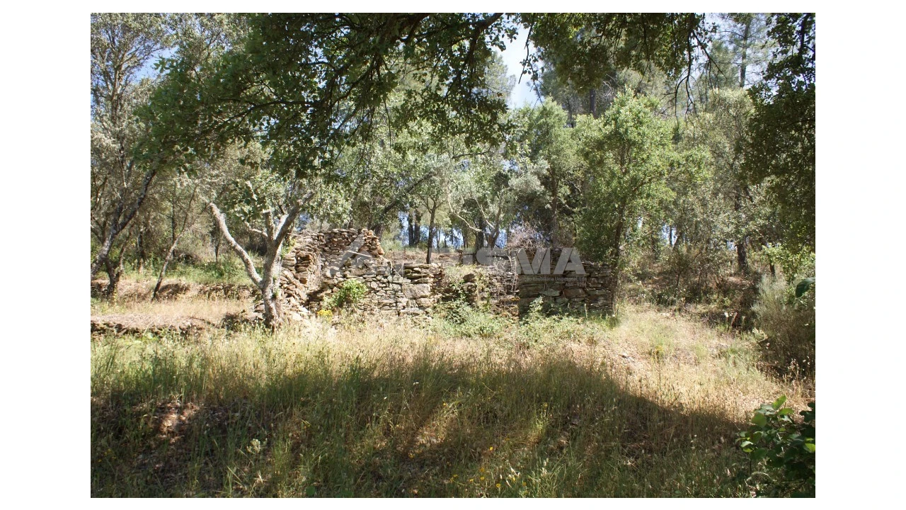 Terreno para Venda em Pedrógão de São Pedro e Bemposta Foto 3