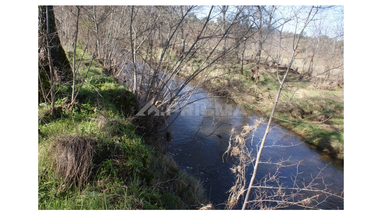 Terreno para Venda em Pedrógão de São Pedro e Bemposta Foto 25