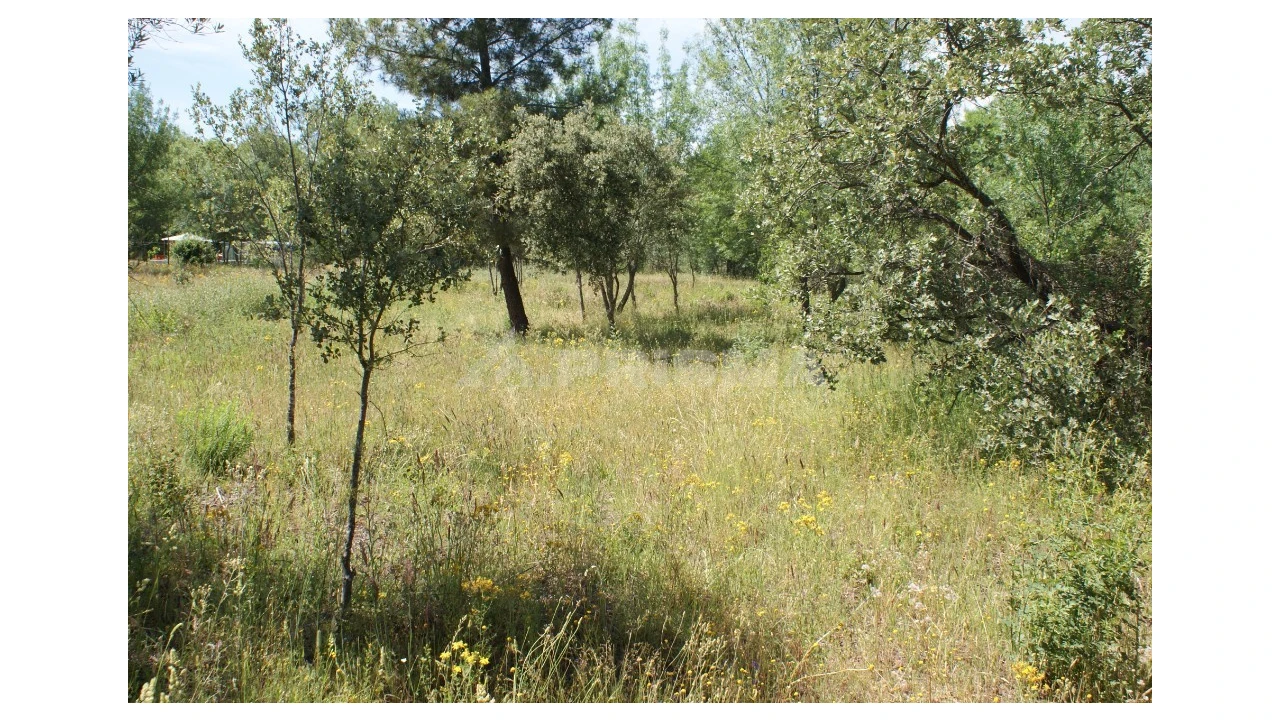 Terreno para Venda em Pedrógão de São Pedro e Bemposta Foto 23