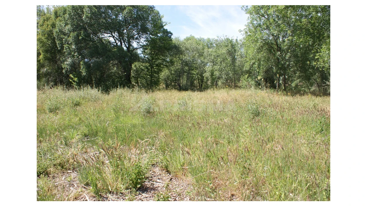 Terreno para Venda em Pedrógão de São Pedro e Bemposta Foto 10