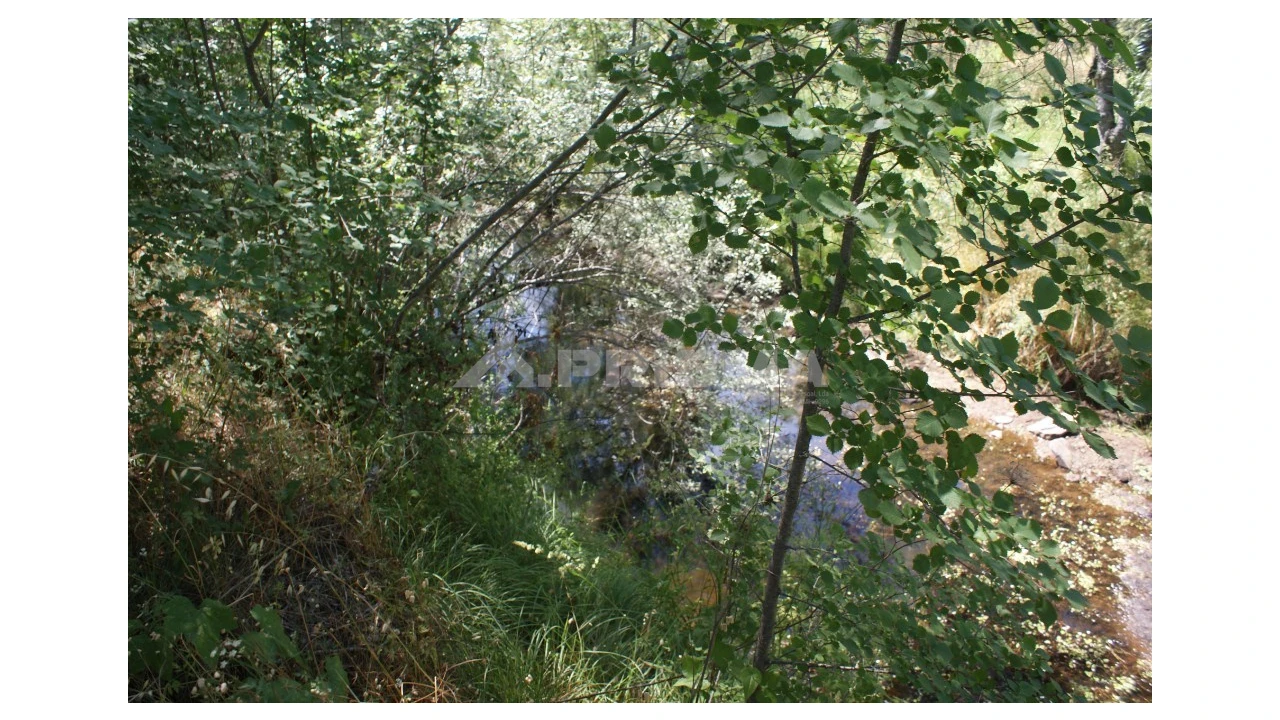 Terreno para Venda em Pedrógão de São Pedro e Bemposta Foto 13