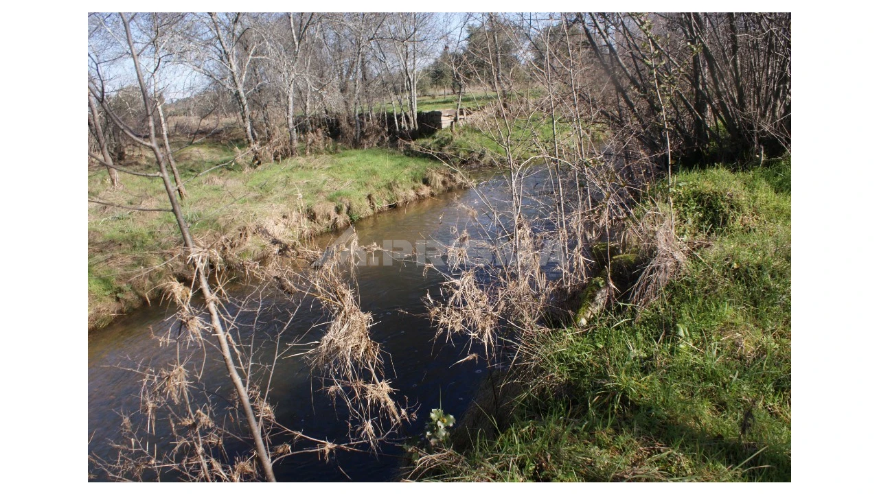 Terreno para Venda em Pedrógão de São Pedro e Bemposta Foto 1