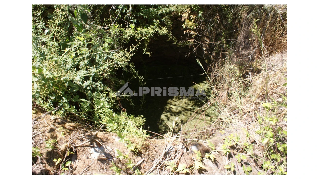 Terreno para Venda em Pedrógão de São Pedro e Bemposta Foto 8