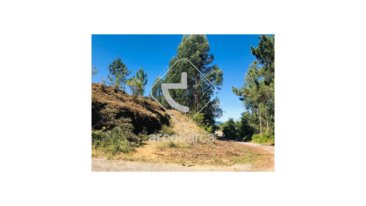 Terreno para Venda em Infesta Foto 5