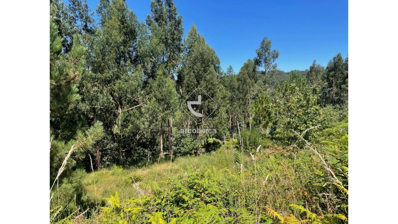 Terreno para Venda em Infesta Foto 27