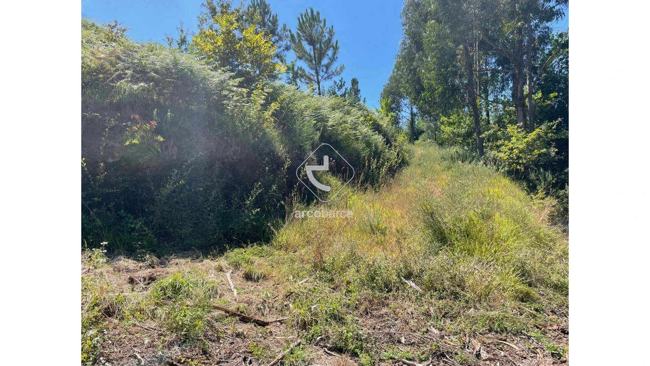 Terreno para Venda em Infesta Foto 26