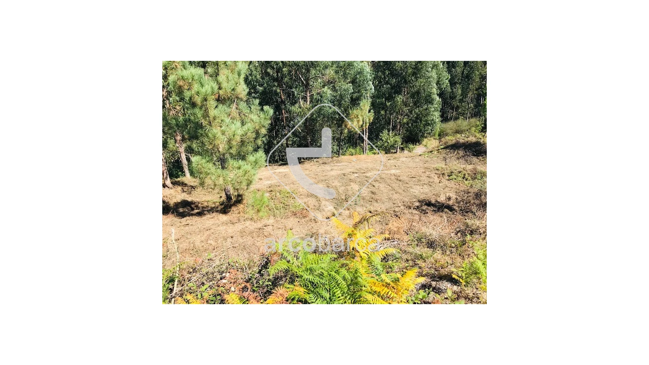 Terreno para Venda em Infesta Foto 4