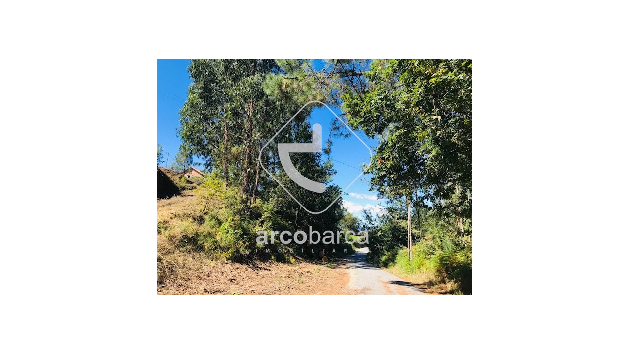 Terreno para Venda em Infesta Foto 20